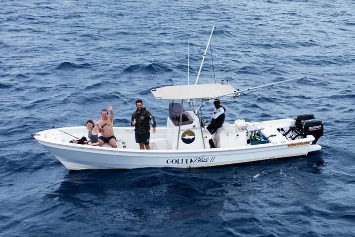 Dolphin swimming and lagoon discovery excursion Mauritius