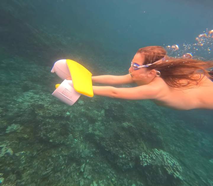 Glide underwater effortlessly with a sea scooter and explore vibrant marine life in a fun, thrilling experience. <br> <b>From 12,000 Rs / 250 €</b>